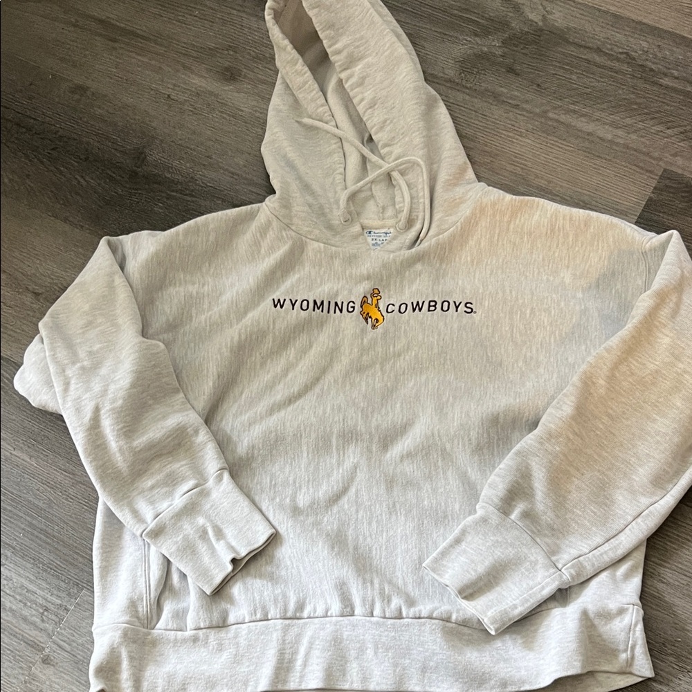 Champion Light Gray Hoodie Sweater